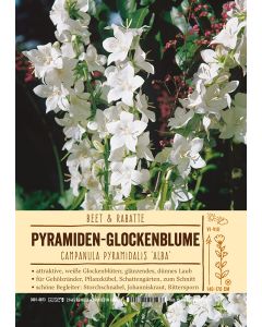 Sortenschild, Campanula pyramidalis 'Alba'