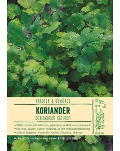 Sortenschild, Coriandrum sativum