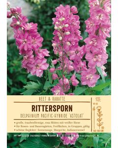 Sortenschild, Delphinium Pacific-Hybride 'Astolat'