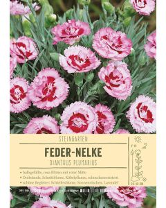 Sortenschild, Dianthus plumarius