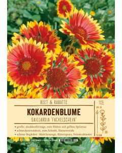 Sortenschild, Gaillardia Hybride 'Fackelschein'