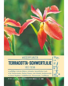 Sortenschild, Iris fulva