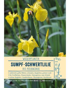 Sortenschild, Iris pseudacorus