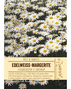 Sortenschild, Leucanthemum x superbum