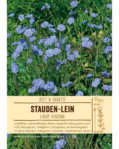 Sortenschild, Linum perenne