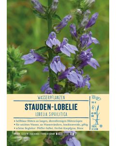 Sortenschild, Lobelia siphilitica