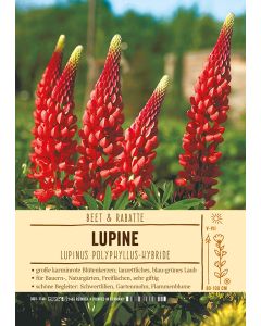 Sortenschild, Lupinus Polyphyllus