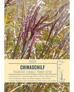 Sortenschild, Miscanthus sinensis 'Ferner Osten'