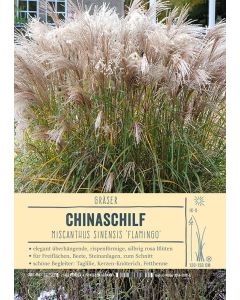 Sortenschild, Miscanthus sinensis 'Flamingo'