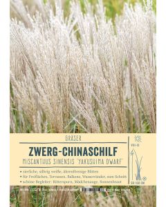 Sortenschild, Miscanthus sinensis 'Yakushima Dwarf'