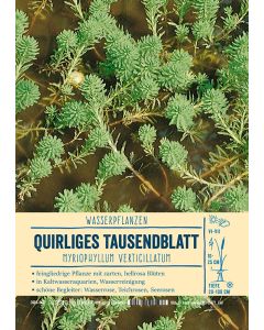 Sortenschild, Myriophyllum verticillatum