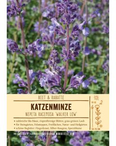 Sortenschild, Nepeta x faassenii 'Walkers Low'
