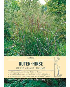Sortenschild, Panicum virgatum 'Rehbraun'