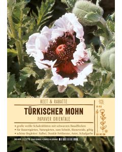 Sortenschild, Papaver orientale