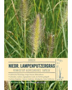 Sortenschild, Pennisetum alopecuroides 'Hameln'