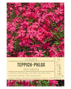 Sortenschild, Phlox subulata