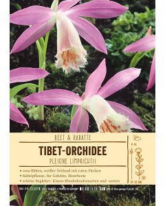 Sortenschild, Pleione limprichtii