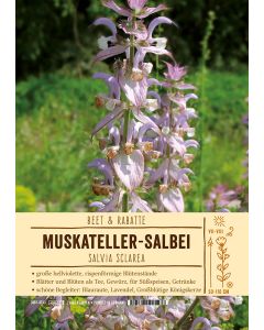 Sortenschild, Salvia sclarea
