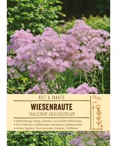 Sortenschild, Thalictrum aquilegifolium