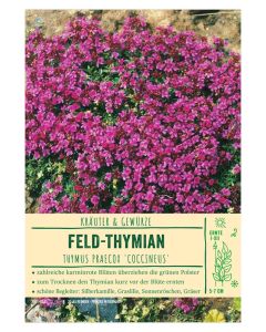 Sortenschild, Thymus praecox 'Coccineus'