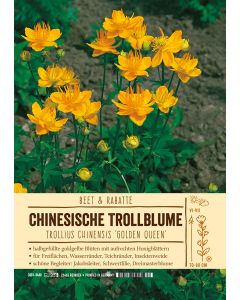 Sortenschild, Trollius chinensis 'Golden Queen'