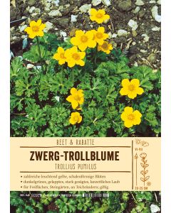 Sortenschild, Trollius pumilus