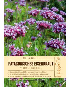 Sortenschild, Verbena bonariensis