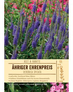 Sortenschild, Veronica spicata