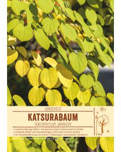 Sortenschild, Cercidiphyllum japonicum