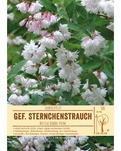 Sortenschild, Deutzia scabra 'Plena'