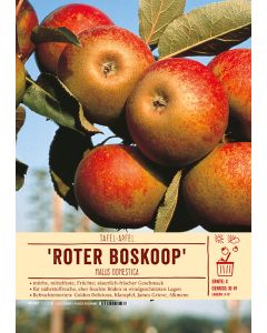 Sortenschild, Malus domestica 'Roter Boskoop'
