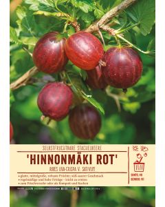 Sortenschild, Ribes uva-crispa v. sativum 'Hinnonmäki rot'