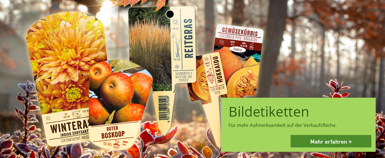 Bannerfoto für Bildetiketten mit verschiedenen Produktbeispielen. 