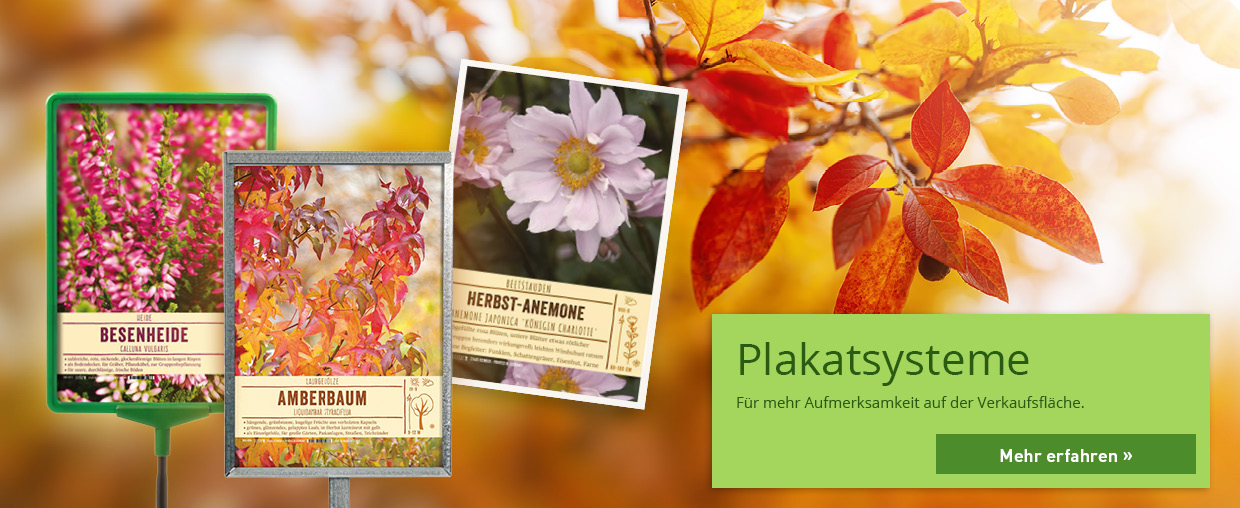 Bannerfoto für Plakatsysteme mit Produktbeispiel