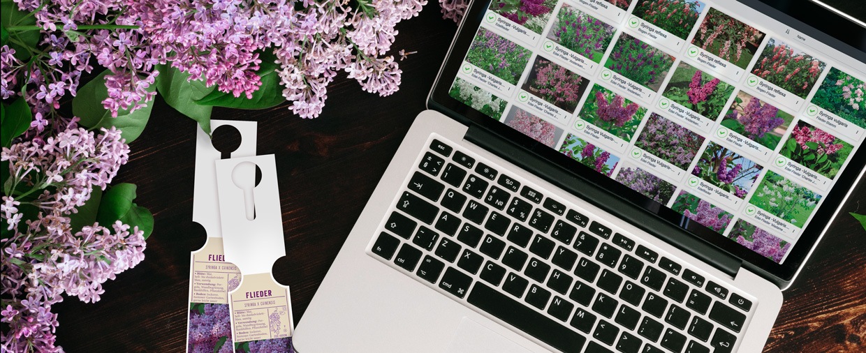 Etiketten-Software im Güse-Shop Laptop mit Etiketten-Software fontio® und selbst gedruckten Schlaufenetiketten